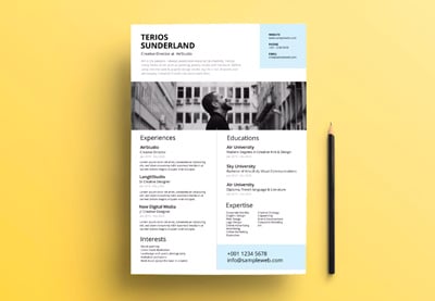 How to Make a Creative Resume in Photoshop Quickly (With PSD Templates)