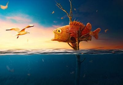 How to Create a Fun Underwater Photo Manipulation With Adobe Photoshop