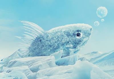 Cómo crear una manipulación fotográfica surrealista de un pez de hielo en Adobe Photoshop