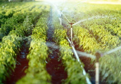 Funktionen in PHP: Rückgabe von Werten und Parametern