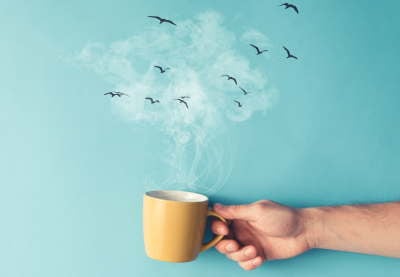 Conceptos básicos del lenguaje Java