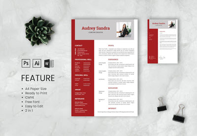 So schreiben Sie eine Zusammenfassung der Leistungen in Ihren Lebenslauf (nicht nur Aufgaben auflisten)