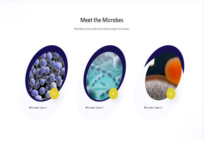 How to Pick the Best Infectious Diseases PowerPoint Template in 2025