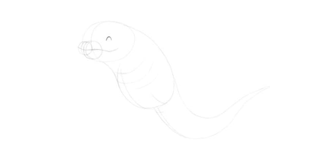 draw upper part of the eye