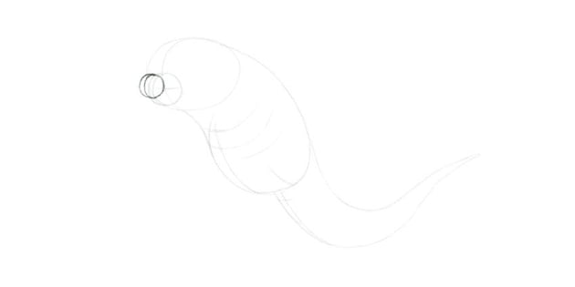 make the mouth longer