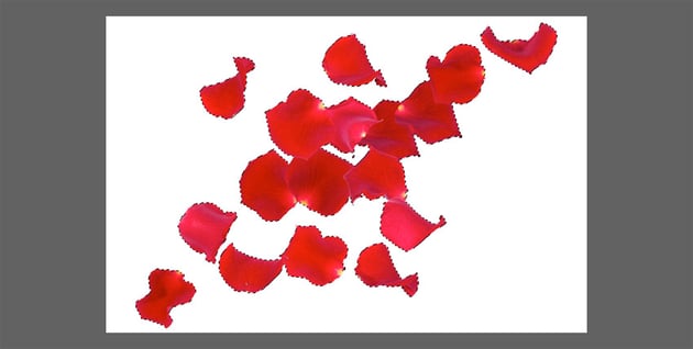 remove white background