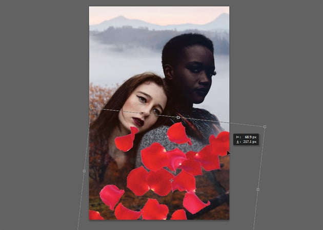 copy and paste petals