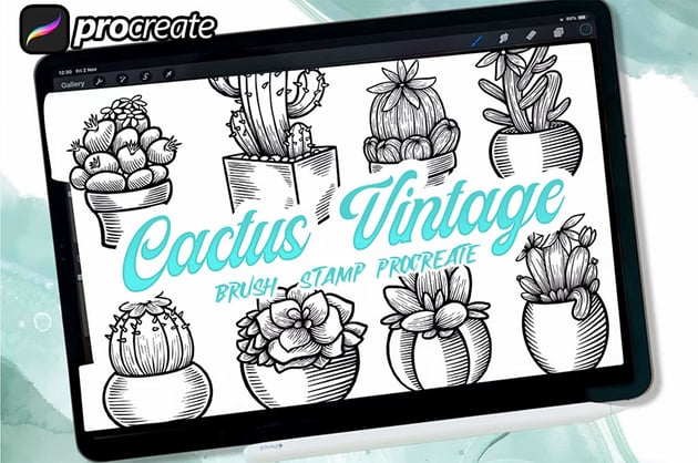 Procreate Engraving Cactus Stamp Brushes from envato elements