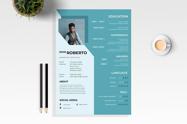 Resume CV Template Contact Details Example