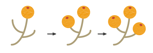 how to create the yellow berry branch