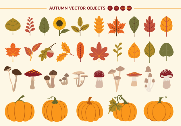 Autumn Leaves, Pumpkins and Mushrooms Vector