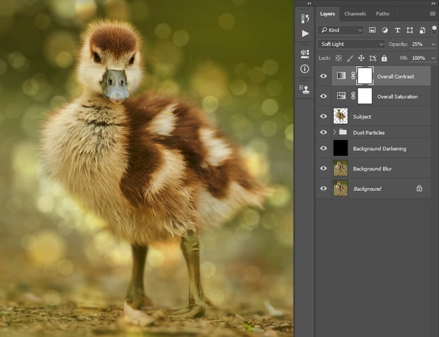 Changing blending mode and opacity