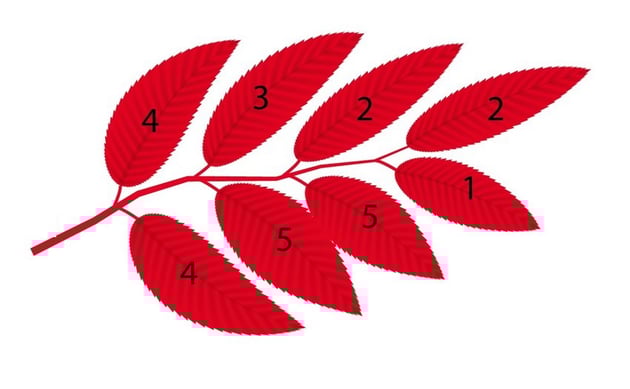 branch with mesh leaves