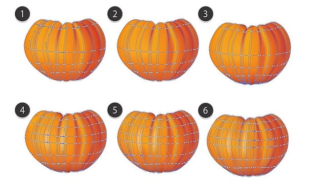 gradient mesh tutorial