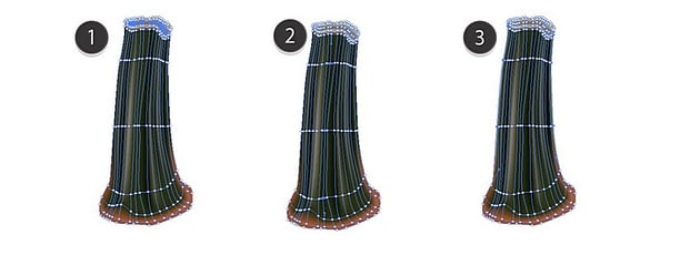 thanksgiving background vector