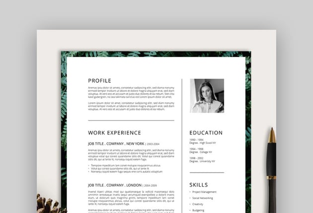 Ferns Creative Resume Template