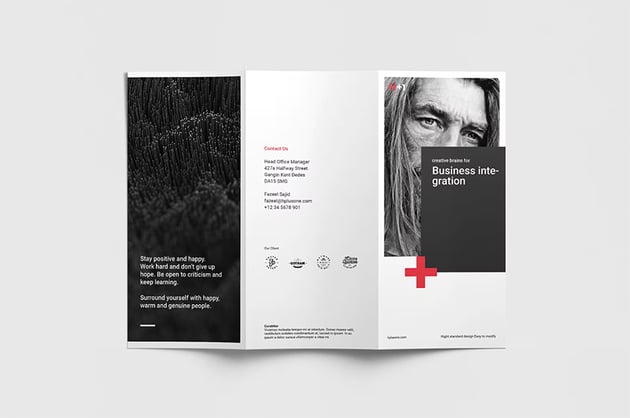 Business Trifold Brochure Template