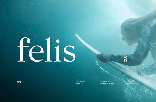 Felis Serif Font