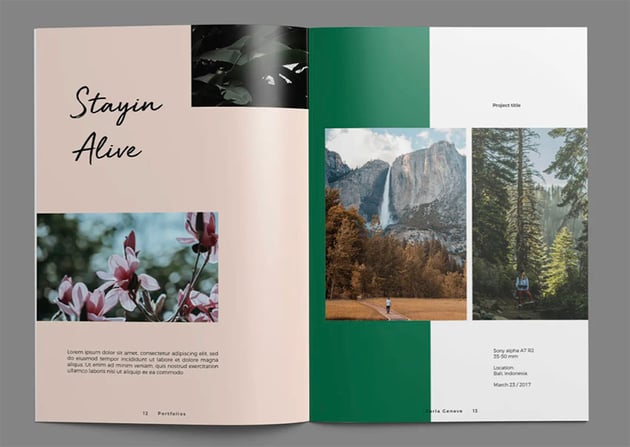 Staying Alive Photography Brochure Design 