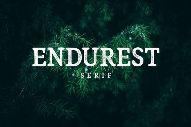 Endurest Transitional Typeface Examples