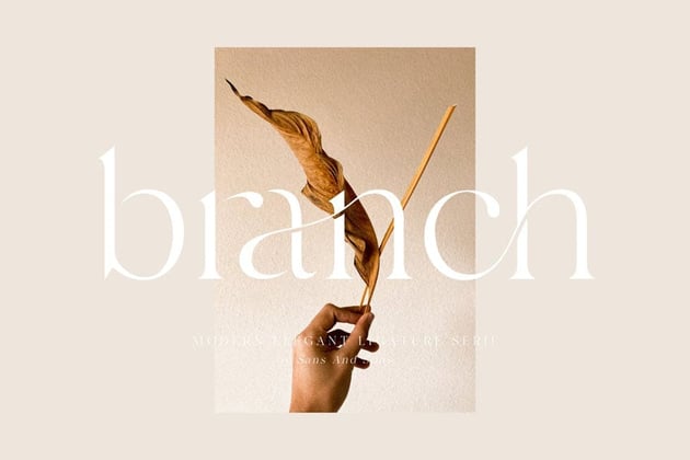 Branch Elegant Typeface Examples