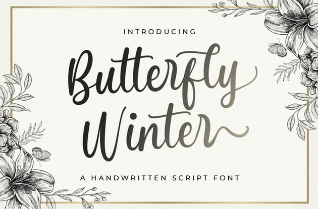 Butterfly Winter Font