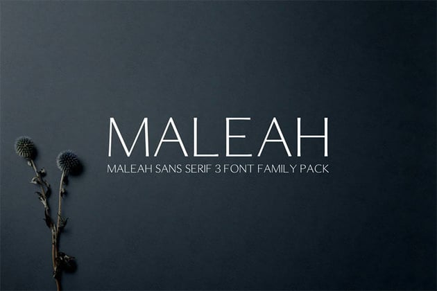 Maleah Clean Modern Fonts