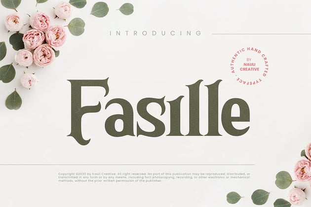 Fasille: Bold Serif Font