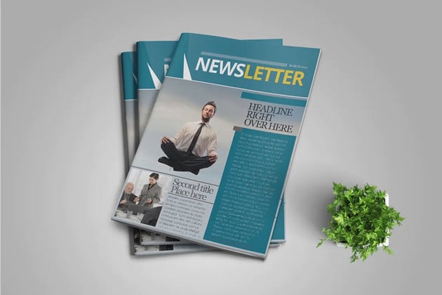 InDesign Newsletter Template 