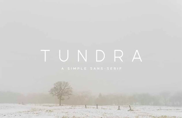 Tundra