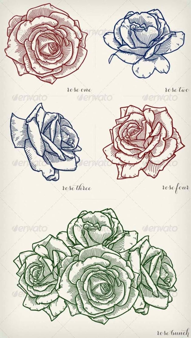 Detailed Vector Roses