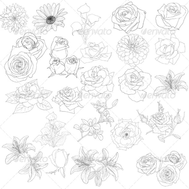 Line Drawings of Roses