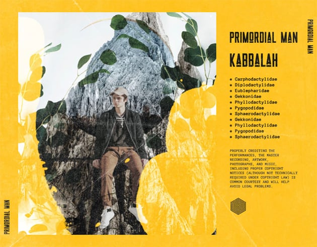 CD Album Back Cover Creator