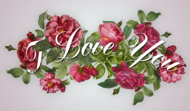 Erase Unwanted Shadow Parts