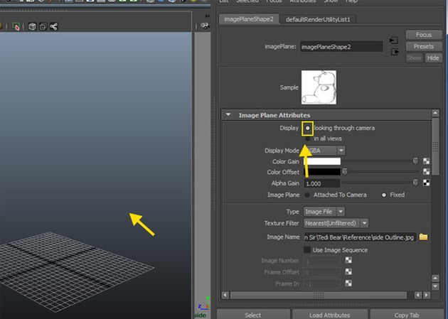 Looking Through Camera