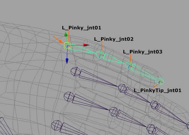 Rename the pinky fingers joints
