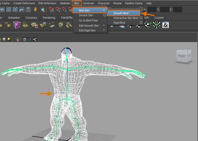 Skin  Bind Skin  Smooth Bind