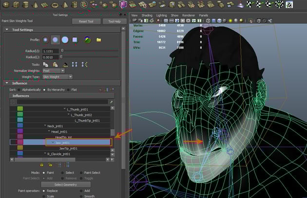 Paint Skin Weight Tool Settings