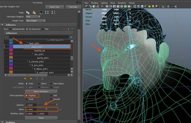 Paint Skin Weight Tool Settings