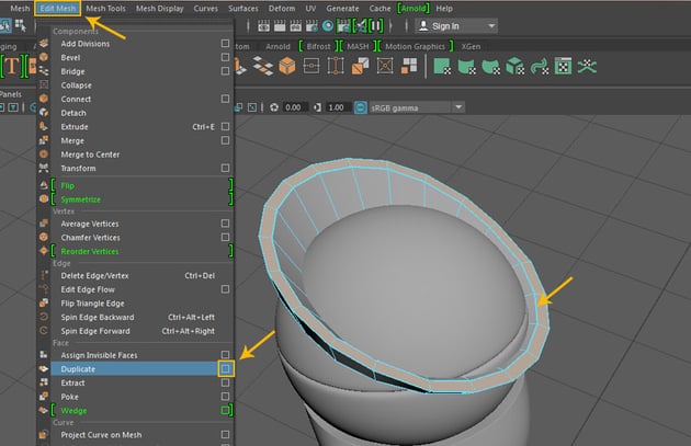 Edit Mesh  Duplicate
