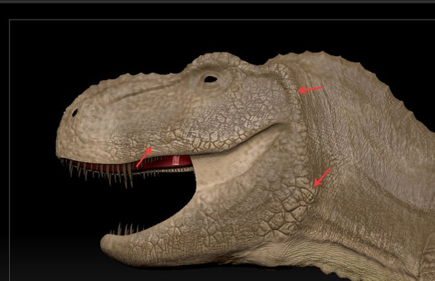 Paint the outer mouth surface 