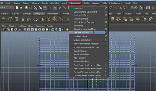 nConstraint  Tearable Surface