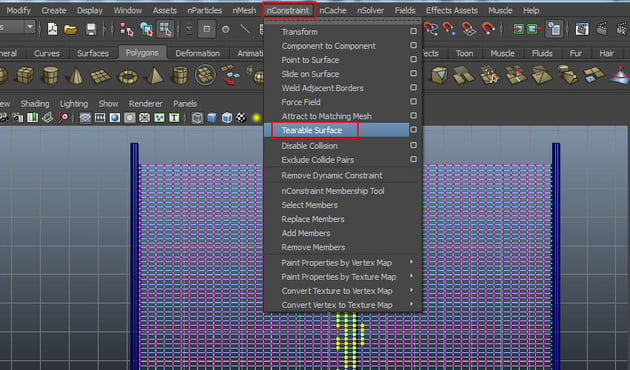  nConstraint  Tearable Surface