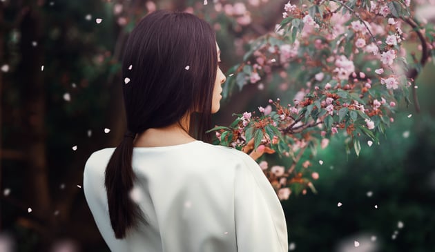 y is for history brush 