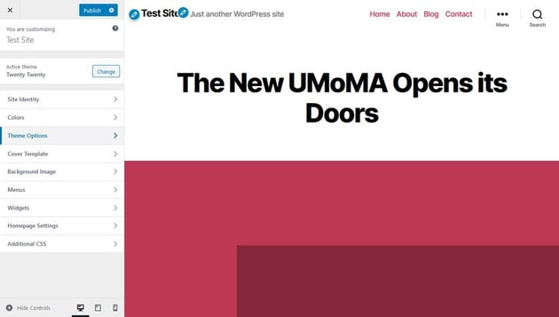 Customizer Live View