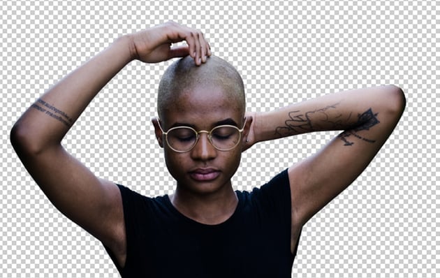 Bringing the model on the main canvas