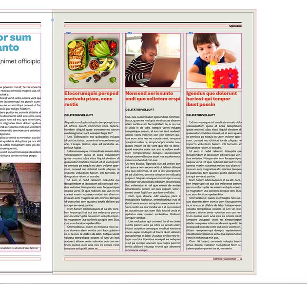 add text boxes under each image and add a stroke in between the columns