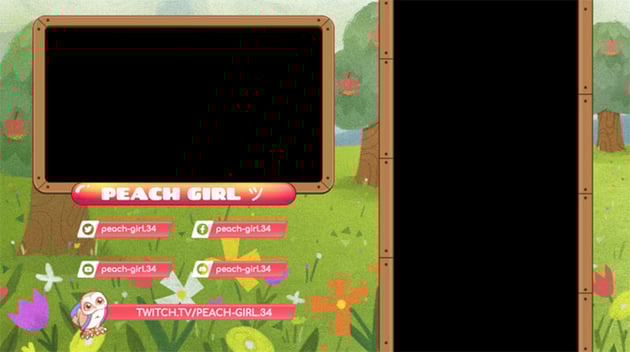 twitch camera overlay