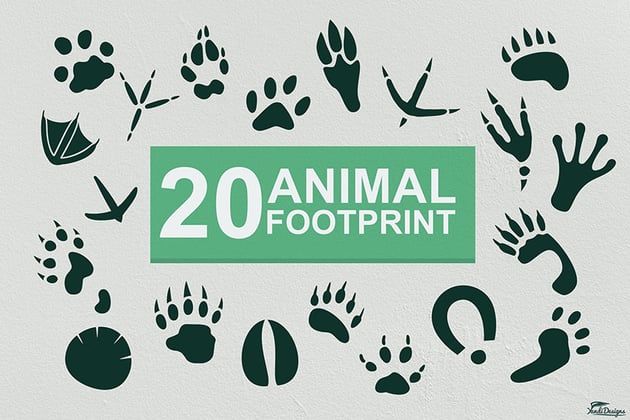 animal footprint svg