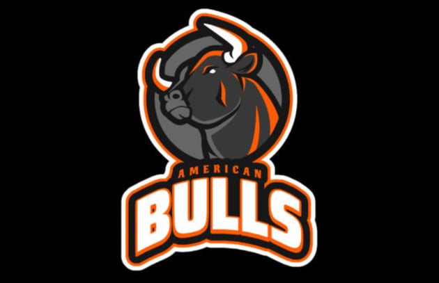 bulls emblem logo